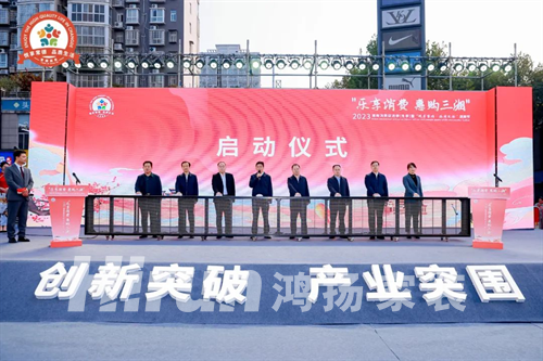 鴻揚家裝，官方指定唯一定制家裝政府補貼品牌